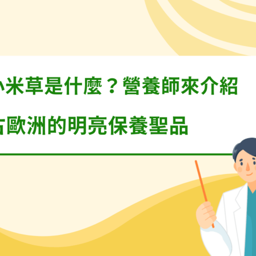 小米草是什麼？營養師介紹：古歐洲的明亮保養聖品